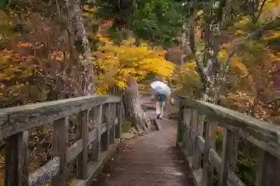 2026 내 숨은 계좌 및 주식 통합조회｜휴면 증권계좌·배당금 한 번에 찾기