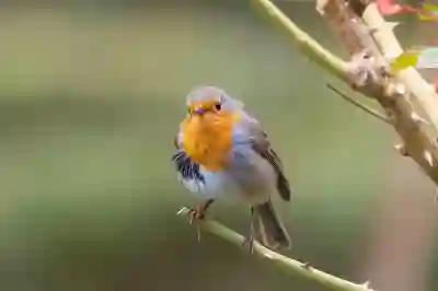 2026 성동구 출산지원금 변경사항 총정리 | 첫만남이용권 · 둘째 · 다자녀 혜택