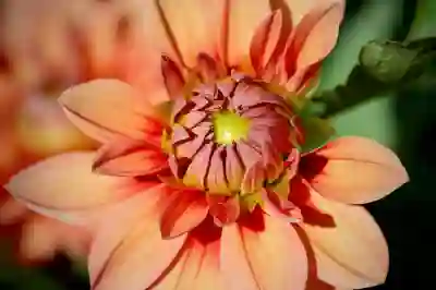 기아자동차 차대번호 조회하는 방법 알아보자