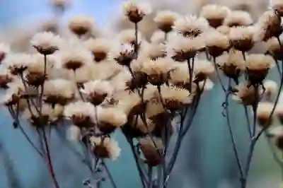 넷플릭스 한국어 설정 변경 방법: 화면을 한국어로 바꾸는 법