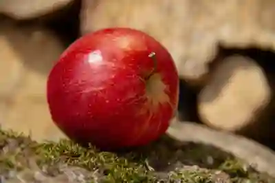 울릉도 배편 예약과 시간표 알아보자