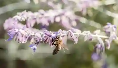 치아보험 약관 필수 체크리스트 | 보철치료 한도·면책기간·환급 조건 꼼꼼히 확인하기