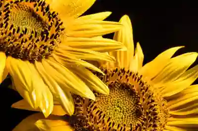 단독 모범납세자 신청 절차와 요건 알아보자