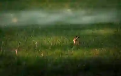 비서 업무 효율성을 높이는 5가지 꿀팁