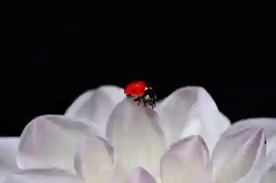 가족 여행에 적합한 쏘렌토 하이브리드와 카니발 비교하기