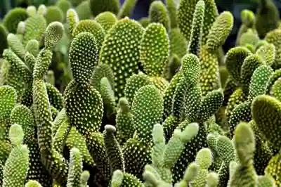 앱 환불 요청 시 체크리스트로 살펴보자