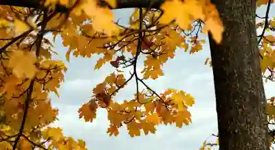 CJ택배의 간선상차와 간선하차를 효과적으로 관리하는 방법 알아보자