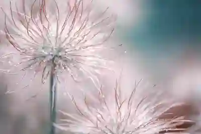 결혼 자금을 위한 증여세 절세 방법 4가지 알아보자