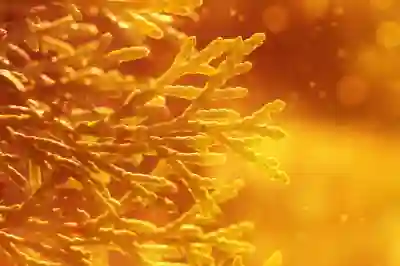 고양시 전세 안고 1억 미만 아파트 투자 전략 알아보자