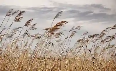 소화 불량과 임신 초기 변화의 관계를 살펴보자