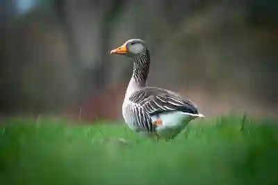 임신 초기 유방 변화 체크리스트 알아보자