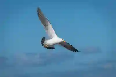제주행 비행기 결항 시 대체 항공편 체크하는 꿀팁