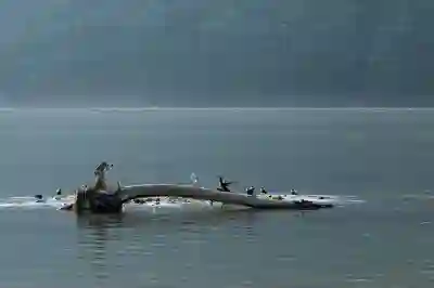 가평 게스트하우스에서 즐기는 물놀이 꿀팁