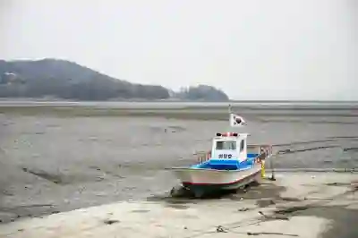 인천공항 비행기 결항 시 대한항공 환불 절차와 꿀팁 알아보자
