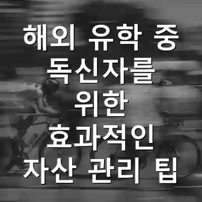 해외 유학 중 독신자를 위한 효과적인 자산 관리 팁