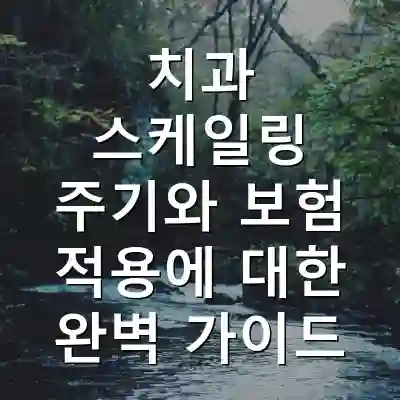 치과 스케일링 주기와 보험 적용에 대한 완벽 가이드