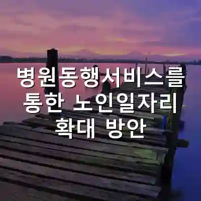병원동행서비스를 통한 노인일자리 확대 방안
