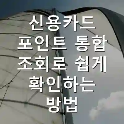 신용카드 포인트 통합 조회로 쉽게 확인하는 방법