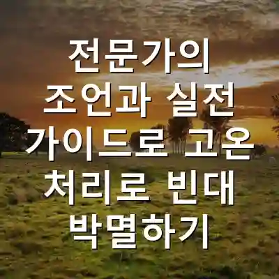 전문가의 조언과 실전 가이드로 고온 처리로 빈대 박멸하기