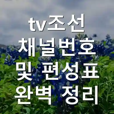 tv조선 채널번호 및 편성표 완벽 정리