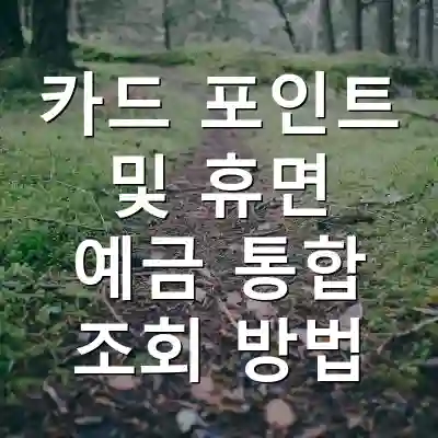 카드 포인트 및 휴면 예금 통합 조회 방법