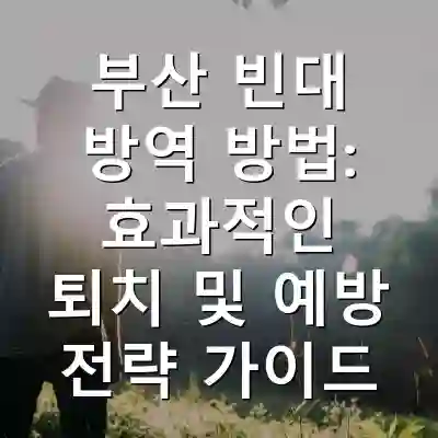 부산 빈대 방역 방법: 효과적인 퇴치 및 예방 전략 가이드