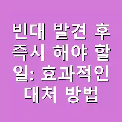 빈대 발견 후 즉시 해야 할 일: 효과적인 대처 방법